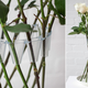 Illustration for article titled A Clever Plastic Brace Turns Long-Stemmed Flowers Into Their Own Vase